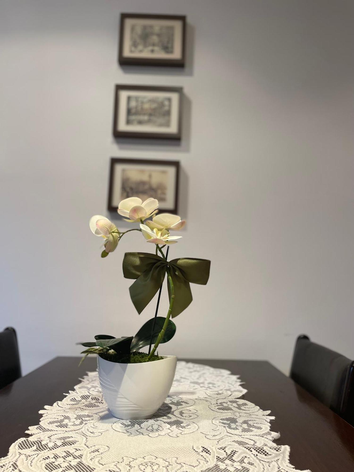 Apartment Mieszkanie Serce Natury W Polanicy Zdroj Bad Altheide